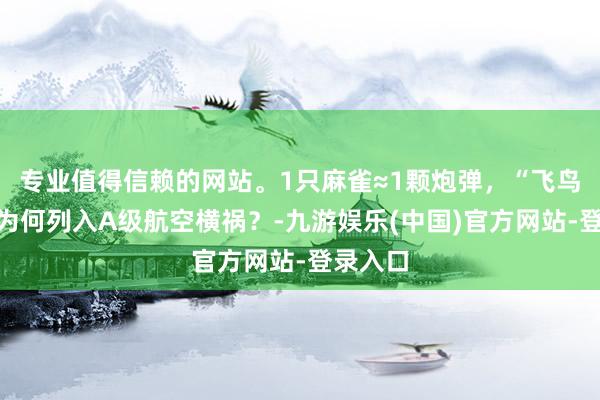 专业值得信赖的网站。1只麻雀≈1颗炮弹，“飞鸟撞机”为何列入A级航空横祸？-九游娱乐(中国)官方网站-登录入口
