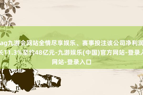 ag九游会网站全情尽享娱乐、赛事投注该公司净利润增长11.3%至约48亿元-九游娱乐(中国)官方网站-登录入口