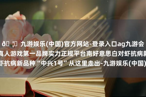 🦄九游娱乐(中国)官方网站-登录入口ag九游会官方⚽ag九游会官网真人游戏第一品牌实力正规平台南好意思白对虾抗病新品种“中兴1号”从这里走出-九游娱乐(中国)官方网站-登录入口